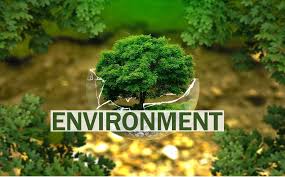 Environment Guest Posting Services