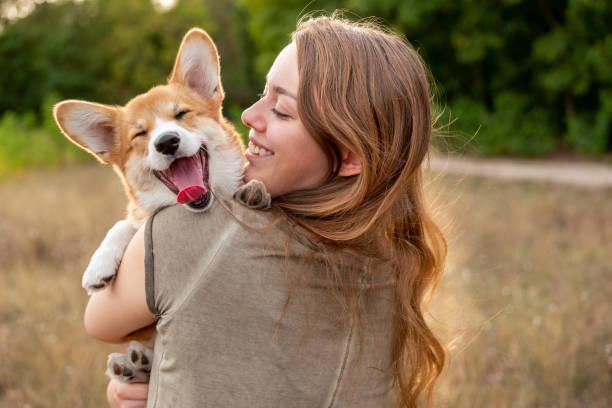 Pets Guest Posting Services Pets Guest Posting Services
