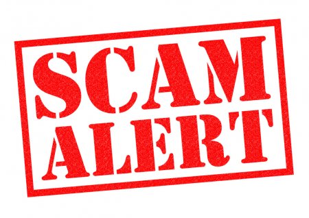 Guest post scammer